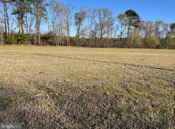 0 E SHIRE DRIVE, BERLIN, MD 21811