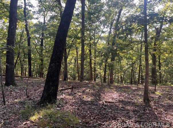 TBD Flathead Road, Gravois Mills, MO 65037
