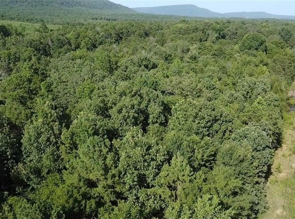 Dardanelle, AR 72834