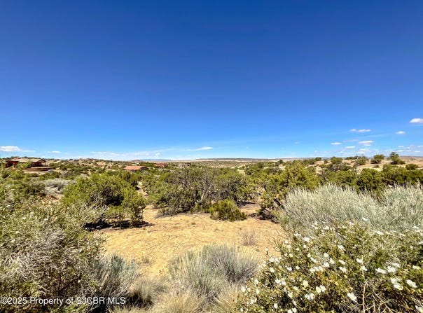 1630 VISTA HERMOSA Trail, Farmington, NM 87401