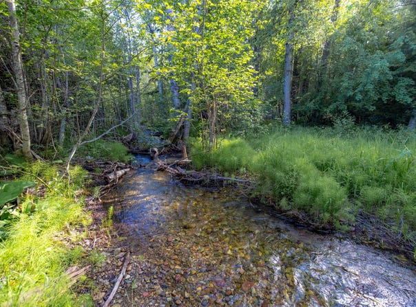NHN Trumble Canyon Road, Columbia Falls, MT 59912