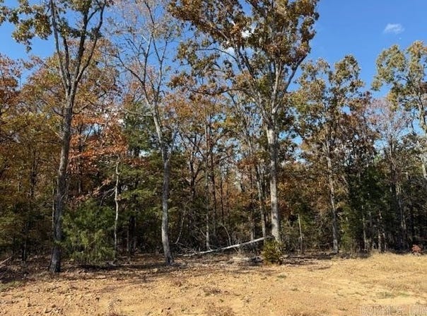42 Summer Sky Drive, Greenbrier, AR 72058