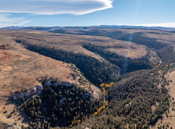 TBD, Shell, WY 82441