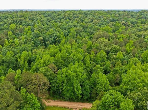 396 Avon Road, DeQueen, AR 71832
