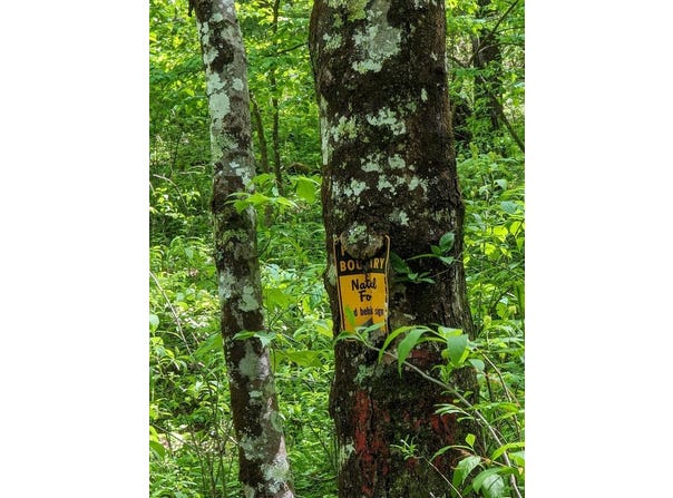 Buck Creek Trail, Epworth, GA 30541