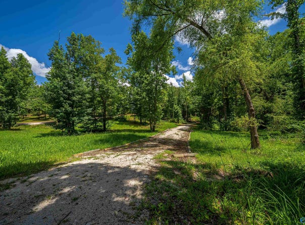 2.36 Acres County Road 336, Piedmont, AL 36272