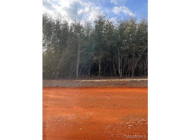 Deer Loop lot: 24, Camden, AL 36726