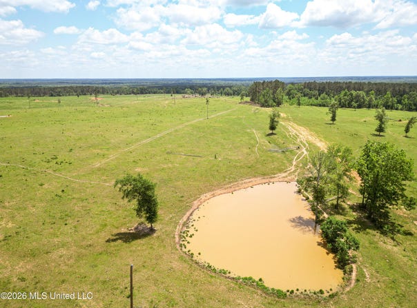 SE Gleenwood Rd., Ruth, MS 39662