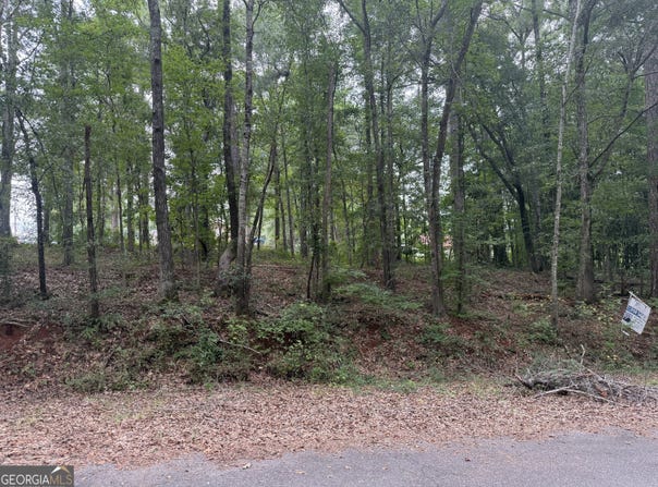 0 Glenwood, Thomaston, GA 30286