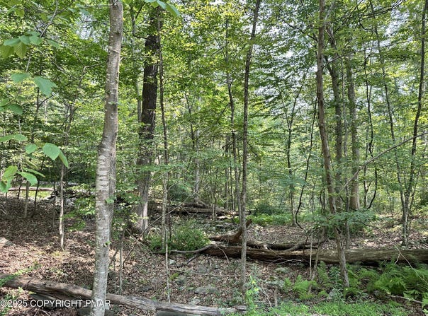 St Moritz Ct 4F, Henryville, PA 18332