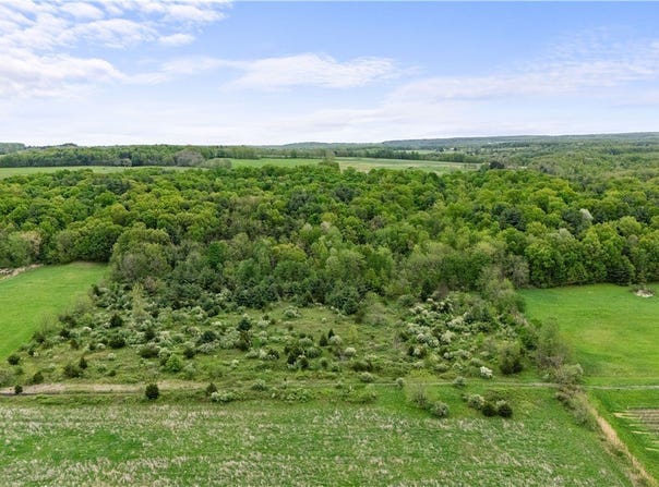 Rt-414, Lodi, NY 14860