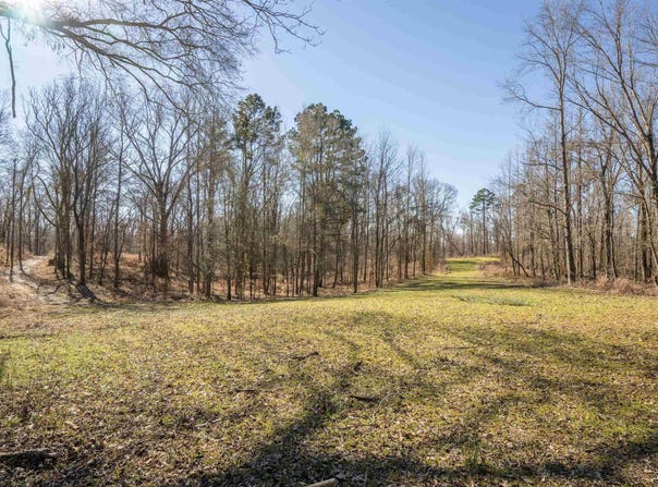 RODNEY ROAD, LORMAN, MS 39069