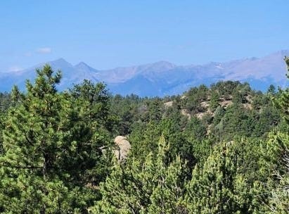 TBD L 43rd Trail, Cotopaxi, CO 81223