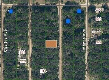 ANNETTE, INTERLACHEN, FL 32148
