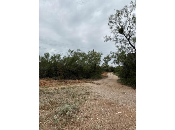 816 Marina Ln, Robert Lee, TX 76945