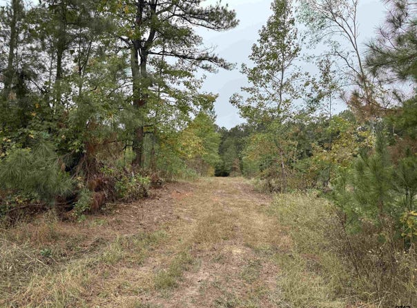 CR 314 - 15 acres, Henderson, TX 75652