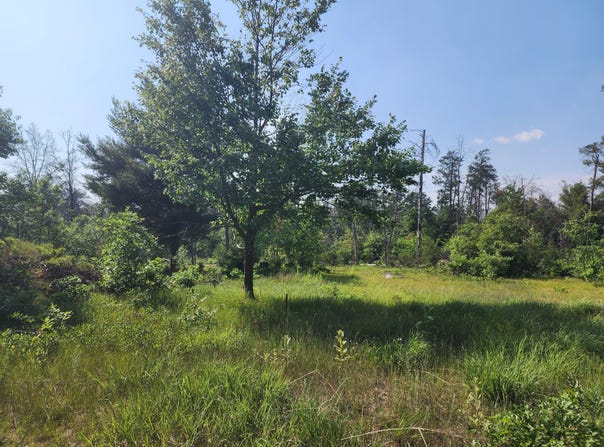 0 Stitt Lane, Mio, MI 48647