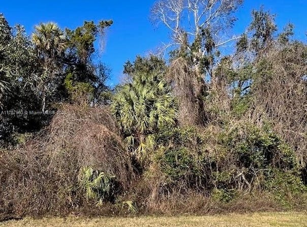 11147 W STATE PARK ST, Other City - In The State Of Florida, FL 34428
