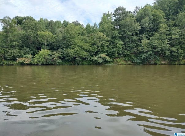 289 CAMP NOD ROAD lot: 0, QUINTON, AL 35023