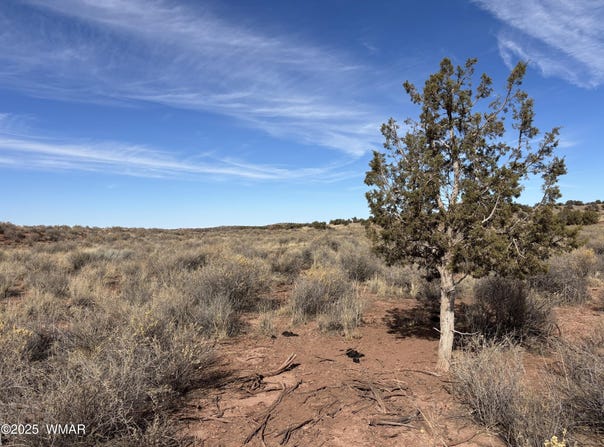 9659 E Juniper Berry Trail, Snowflake, AZ 85937