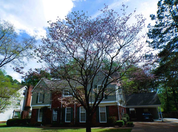 8325 FARMINGTON Blvd, Germantown, TN 38139