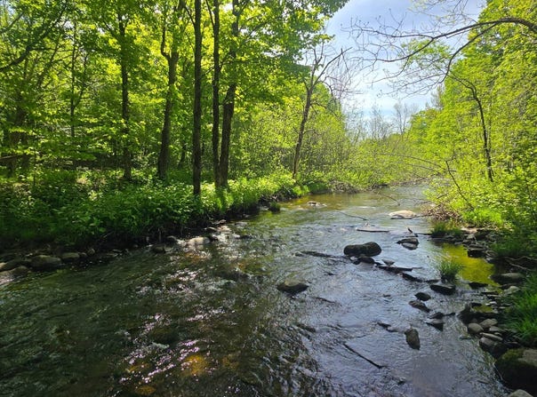 County Route 95, Lorraine, NY 13659