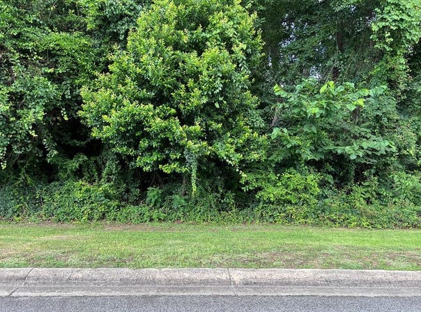 Georgetown, GA 39854