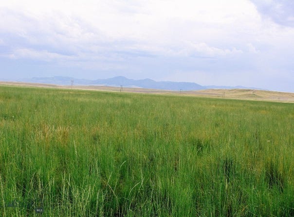 Muddy Creek Ranch, Cascade, MT 59421