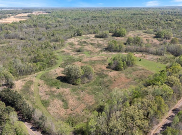Hogfoot Road, Senatobia, MS 38668