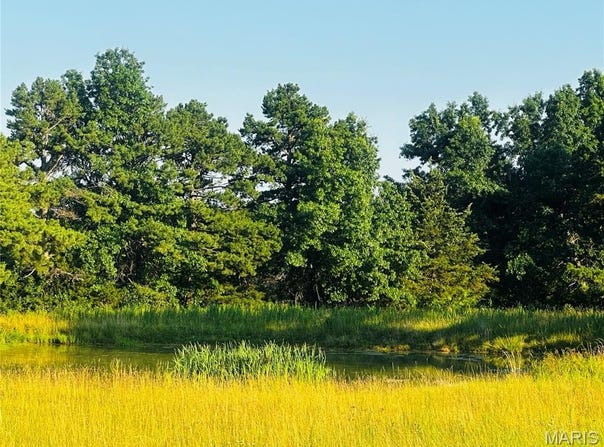 Tract 11d Audrain Rd 935, Mexico, MO 65265