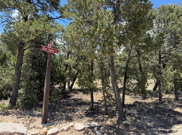 43 Silver Feather Trail, Pecos, NM 87552