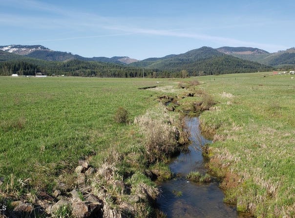 Parcel 9 Green Valley RD, Fernwood, ID 83830