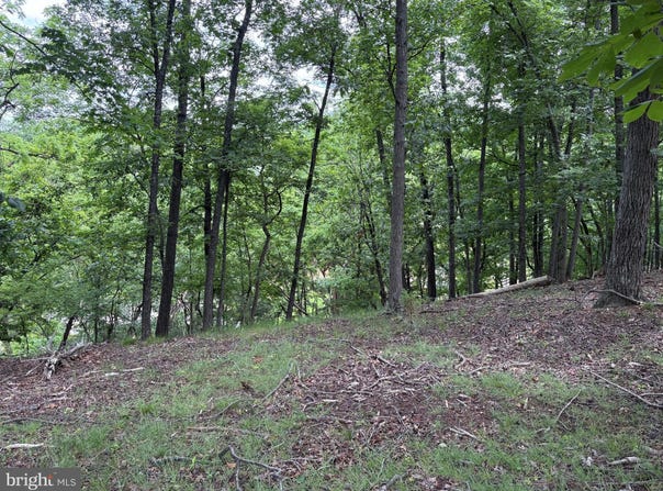 CORNWELL DRIVE lot: 24, ROMNEY, WV 26757
