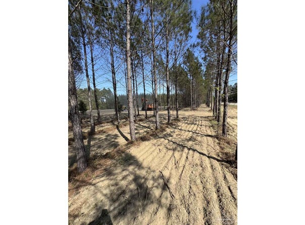 Sage Forest Ln lot: 53, Pace, FL 32571