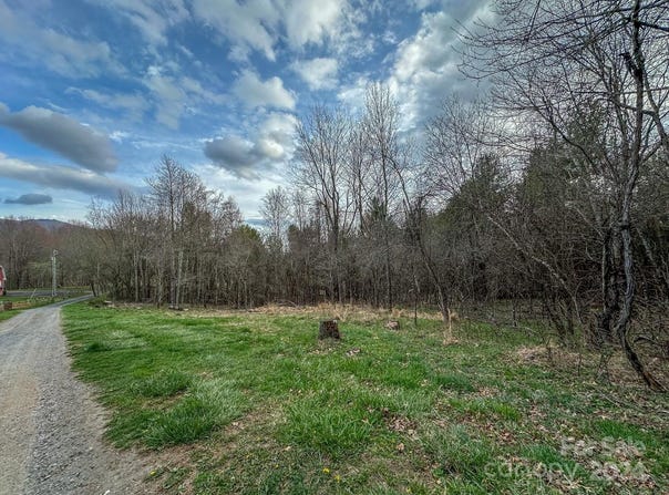 Crestview Drive W, Creston, NC 28615