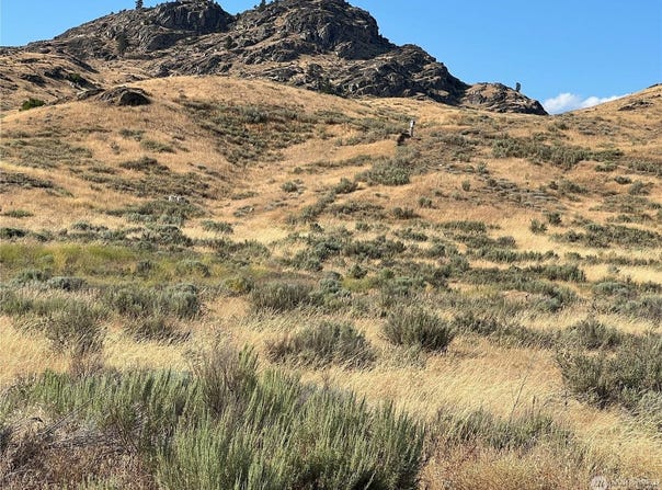 Lot 3 Gunsmoke Rd, Other, WA 98812