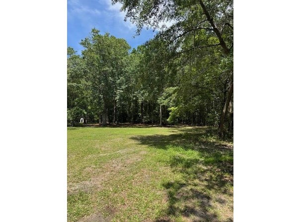 133 Rutledge Drive Drive, Eutawville, SC 29048