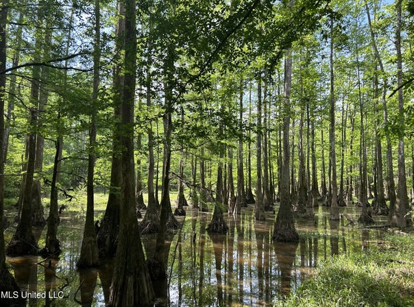 Us-98, McLain, MS 39456