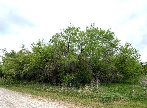 Mcalister, Mingus, TX 76463
