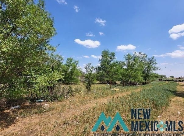 11 Navajo Road, Clovis, NM 88101