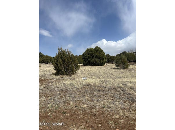 520 S Rockcreek Drive, Show Low, AZ 85901