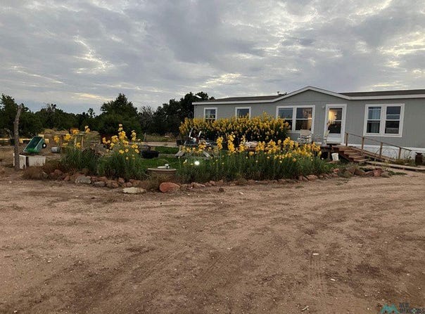 738 MORENO HILL RD, Fence Lake, NM 87315
