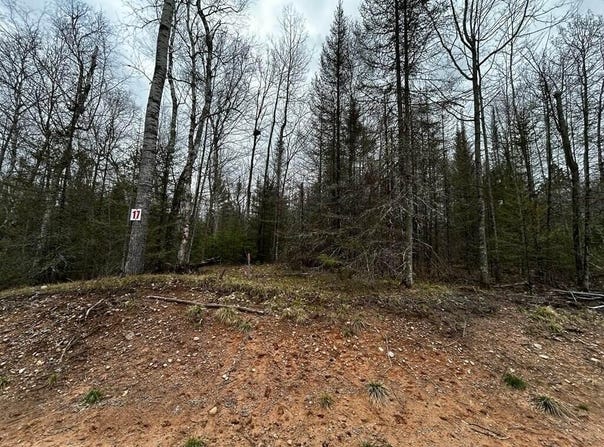BUTTERNUT CIR lot: 17, Eagle River, WI 54521