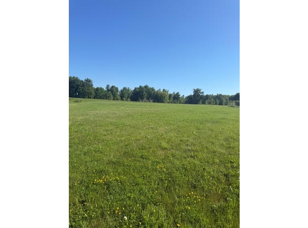 Hummingbird Lane SW, Alexandria, MN 56308
