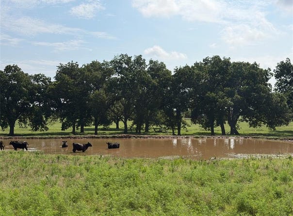 1170 Road, Earlsboro, OK 74840
