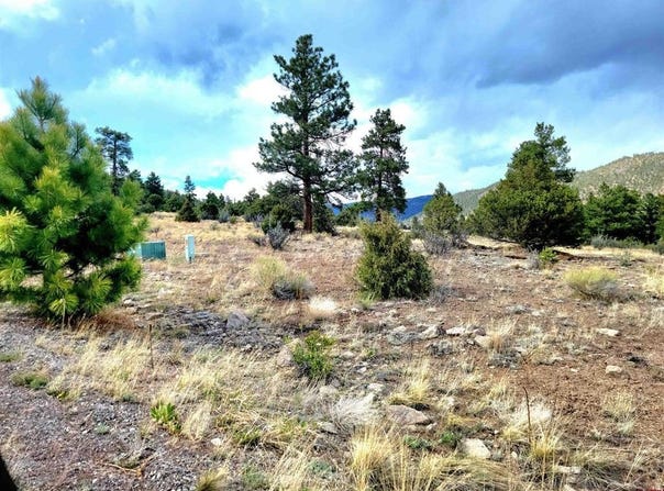 Little Bear Circle Lot 41, South Fork, CO 81154