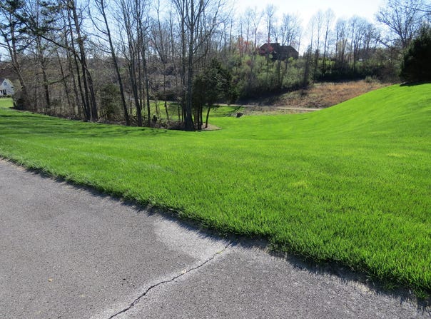 Church Hill Road lot: 10&11, Heidrick, KY 40949