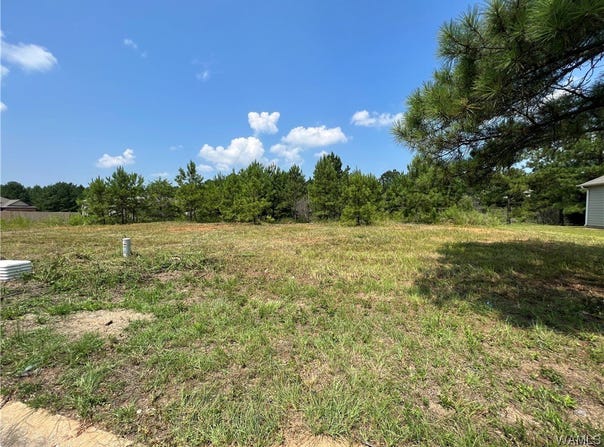 100 Crimson Ridge Rd, Brookwood, AL 35444