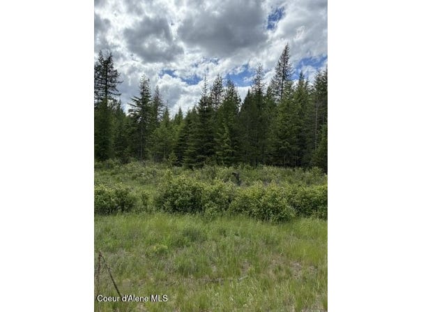 Good Hope Road, Athol, ID 83801