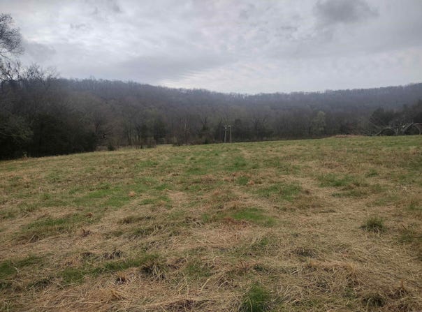 Tract 4 HWY 14 E, Mountain View, AR 72560